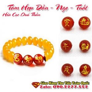 Vòng Tay Phong Thủy Hợp Tuổi Mậu Tuất 1958-2018 ( Feng Shui Bracelet )