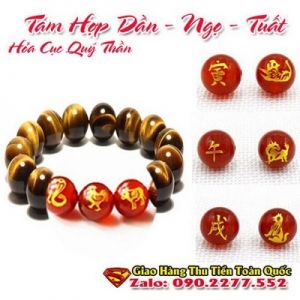 Vòng Tay Phong Thủy Hợp Tuổi Nhâm Tuất 1982 ( Feng Shui Bracelet )