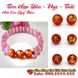 Vòng Tay Phong Thủy Hợp Tuổi Giáp Tuất 1994 ( Feng Shui Bracelet )