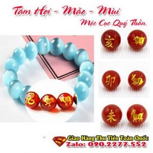 Vòng Tay Phong Thủy Hợp Tuổi Kỷ Hợi 1959-2019 ( Feng Shui Bracelet )