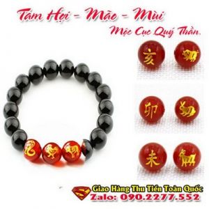 Vòng Tay Phong Thủy Hợp Tuổi Kỷ Hợi 1959-2019 ( Feng Shui Bracelet )