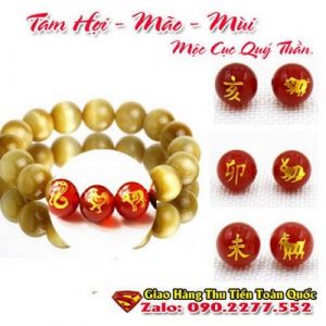 Vòng Tay Phong Thủy Hợp Tuổi Kỷ Hợi 1959-2019 ( Feng Shui Bracelet )