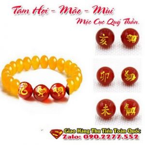 Vòng Tay Phong Thủy Hợp Tuổi Kỷ Hợi 1959-2019 ( Feng Shui Bracelet )