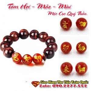 Vòng Tay Phong Thủy Hợp Tuổi Kỷ Hợi 1959-2019 ( Feng Shui Bracelet )