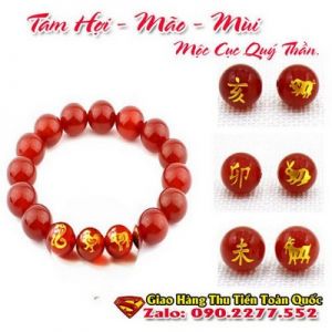 Vòng Tay Phong Thủy Hợp Tuổi Kỷ Hợi 1959-2019 ( Feng Shui Bracelet )