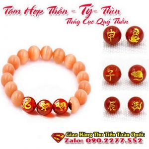 Vòng Tay Phong Thủy Hợp Tuổi Canh Tý 1960-2020 ( Feng Shui Bracelet )