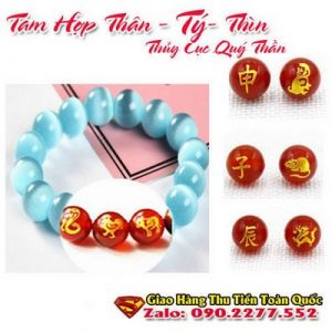 Vòng Tay Phong Thủy Hợp Tuổi Canh Tý 1960-2020 ( Feng Shui Bracelet )