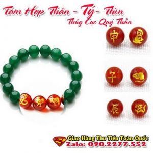 Vòng Tay Phong Thủy Hợp Tuổi Canh Tý 1960-2020 ( Feng Shui Bracelet )