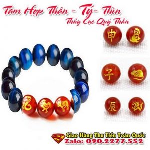 Vòng Tay Phong Thủy Hợp Tuổi Canh Tý 1960-2020 ( Feng Shui Bracelet )