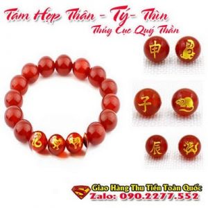 Vòng Tay Phong Thủy Hợp Tuổi Canh Tý 1960-2020 ( Feng Shui Bracelet )