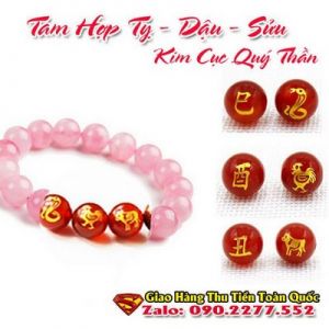 Vòng Tay Phong Thủy Hợp Tuổi Tân Sửu 1961-2021  ( Feng Shui Bracelet )