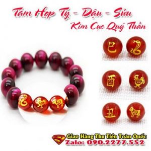 Vòng Tay Phong Thủy Hợp Tuổi Tân Sửu 1961-2021  ( Feng Shui Bracelet )