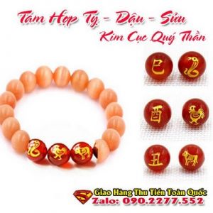 Vòng Tay Phong Thủy Hợp Tuổi Tân Sửu 1961-2021  ( Feng Shui Bracelet )