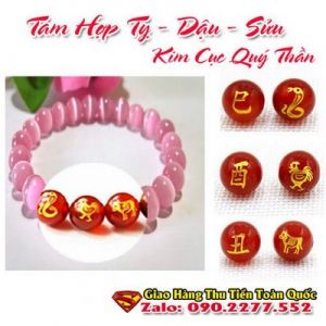 Vòng Tay Phong Thủy Hợp Tuổi Tân Sửu 1961-2021  ( Feng Shui Bracelet )