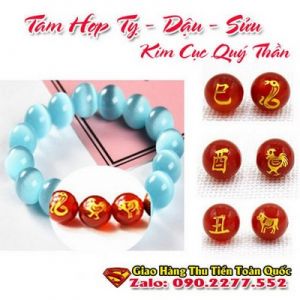 Vòng Tay Phong Thủy Hợp Tuổi Tân Sửu 1961-2021  ( Feng Shui Bracelet )