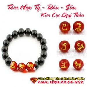 Vòng Tay Phong Thủy Hợp Tuổi Tân Sửu 1961-2021  ( Feng Shui Bracelet )