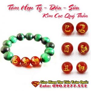 Vòng Tay Phong Thủy Hợp Tuổi Tân Sửu 1961-2021  ( Feng Shui Bracelet )