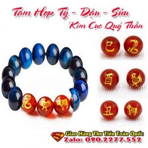 Vòng Tay Phong Thủy Hợp Tuổi Tân Sửu 1961-2021  ( Feng Shui Bracelet )