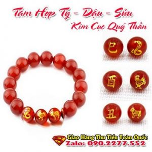 Vòng Tay Phong Thủy Hợp Tuổi Tân Sửu 1961-2021  ( Feng Shui Bracelet )