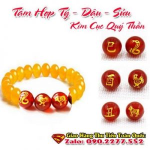 Vòng Tay Phong Thủy Hợp Tuổi Ất Sửu 1985 ( Feng Shui Bracelet )